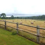 L'herbe Aux Vaches