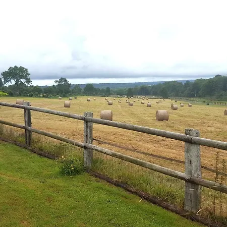 L'herbe Aux Vaches