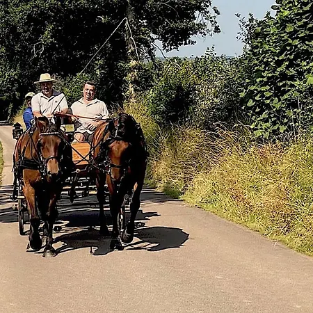 L'herbe Aux Vaches Frühstückspension 3*
