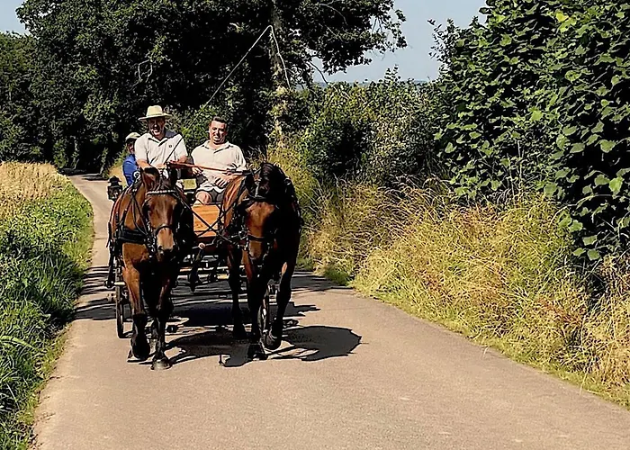 L'herbe Aux Vaches Bed & Breakfast 3*
