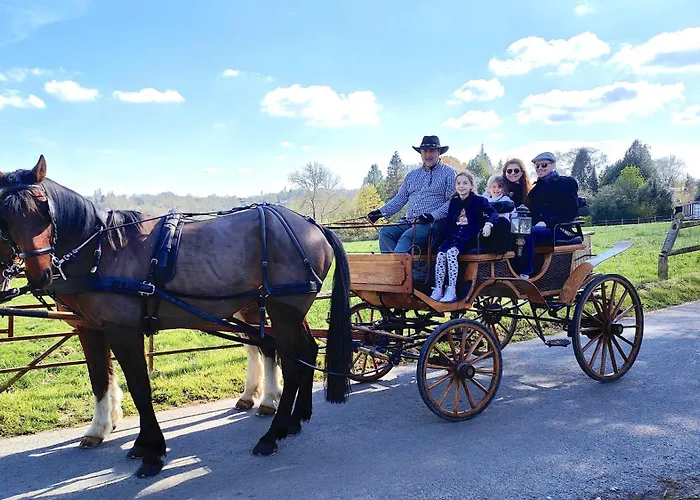 L'herbe Aux Vaches 3* Saint-Pierre-Azif